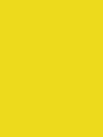FY1B,F2: Brilliant Yellow